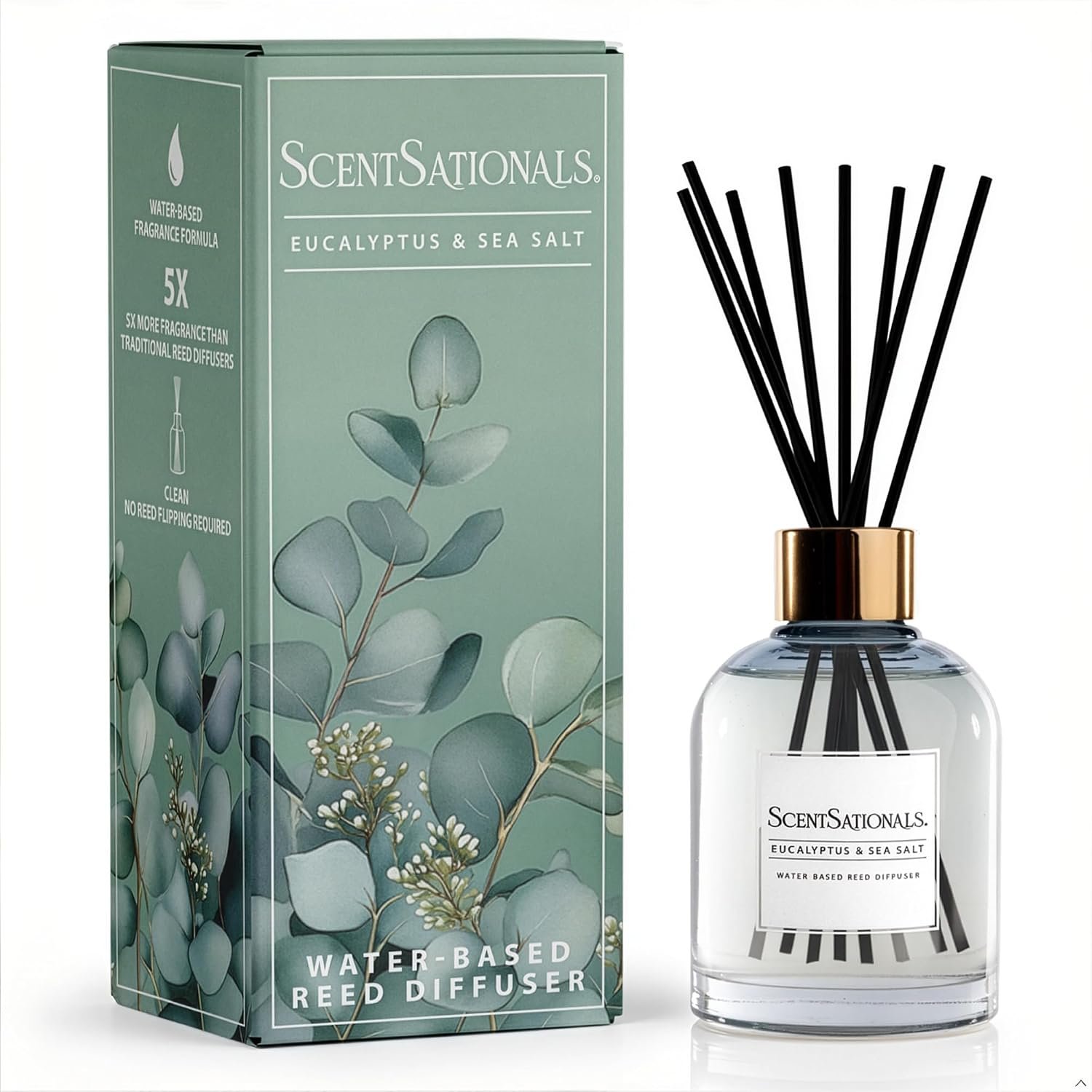 ScentSationals Eucalyptus & Sea Salt Water-Based Reed Diffuser – 5 FL OZ | Eucalyptus, Sea Salt, & Soft Moss Fresh scented home fragrance